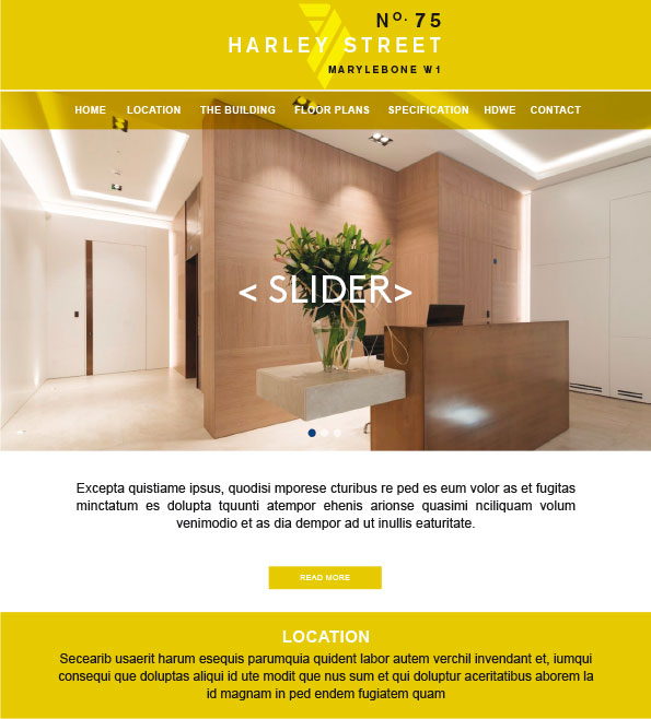 Visual of 75 Harley Street website header section by Drydesign