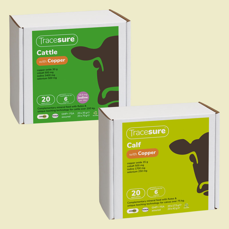 Label designs for Tracesure Cattle with Copper and Calf with Copper, part of a range of international product rebranding by Drydesign.