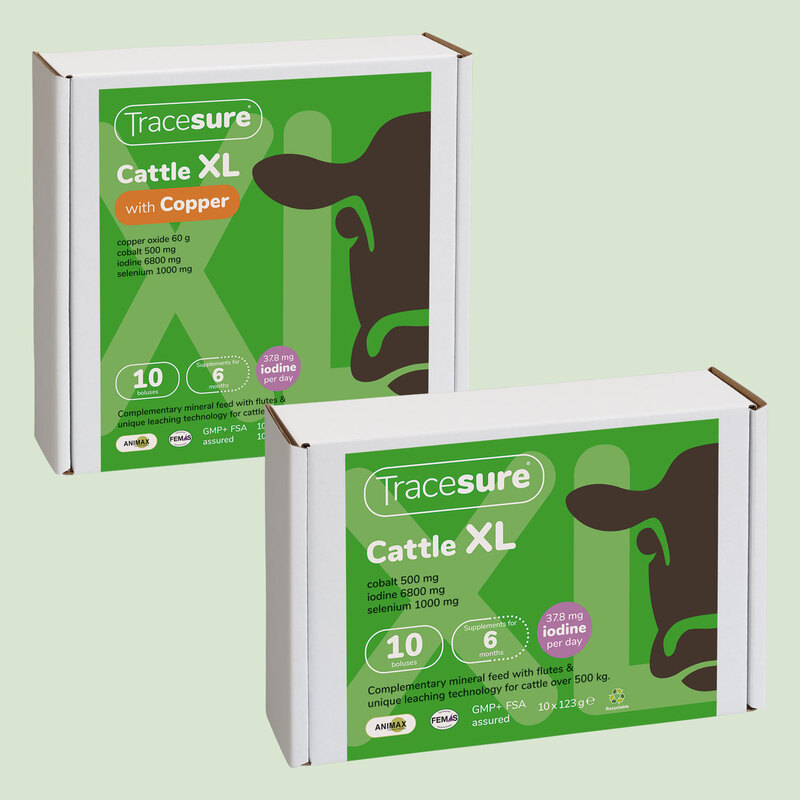 Label designs for Tracesure Cattle XL with Copper and Tracesure Cattle XL, part of a range of international product rebranding by Drydesign.